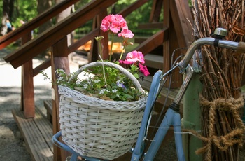 På cykeltur langs Wotschofskaweg i Spreewald, Tyskland