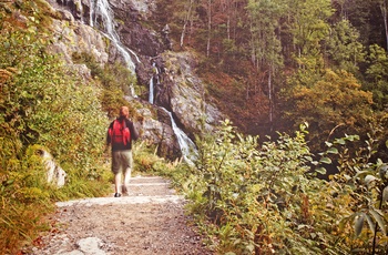 På vej mod Todtnau vandfaldet i Schwarzwald, Sydtyskland