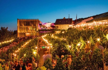 Weingut am Stein i Würzburg, Tyskland - Foto: Ludwig Knoll, Weingut am Stein