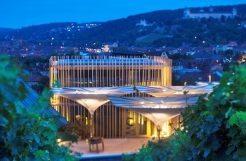 Weingut am Stein i Würzburg, Tyskland - Foto: Ludwig Knoll, Weingut am Stein