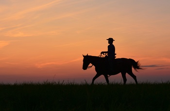 Siluetten af en cowboy i USA