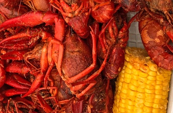 Kogte crawfish klar til at blive serveret, USA