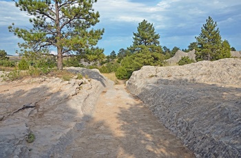 En del af Oregon Trail i Wyoming, USA