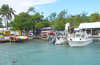 MC-tur Solrige Florida - dag 3: Key Largo-Key West - et af dagens stop på Overseas Highway