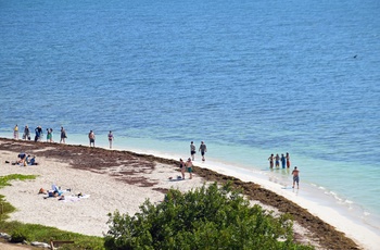 MC-tur Solrige Florida - dag 4: Key West-Florida City - stop ved lille strand