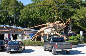 MC-tur Solrige Florida - dag 4: Key West-Florida City - stop langs Overseas Highway