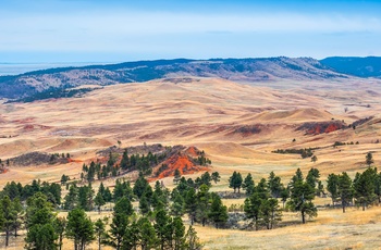 Prærien i Wind Cave National Park, South Dakota i USA