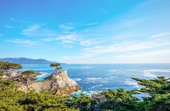 USA Californien 17 Mile Drive Lone Cypress Tree