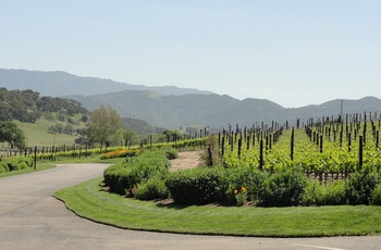 USA Californien Rusack Winery