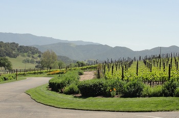 USA Californien Rusack Winery