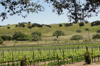 USA Californien Rusack Winery