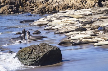 USA Californien Highway 1 San Simeon