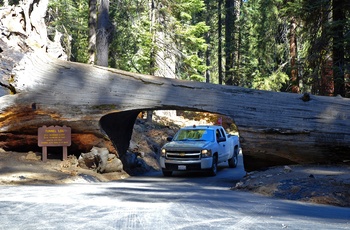 USA Californien Sequoia Nationalpark