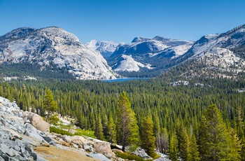 USA Californien Yosemite National Park Tenaya Lake