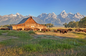 Grand Teton National Park, Wyoming