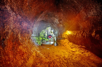 Lavatunnel på Hawaii Big Island - USA