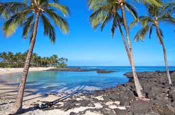 Lækker strand på Hawaii Big Island - USA