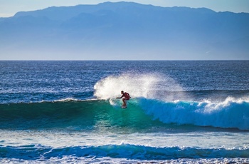 Surfer ud for Hawaii Big Islands kyst - USA