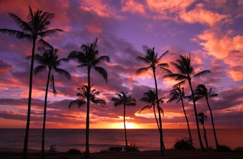 Solnedgang - øen Molokai - Hawaii i USA