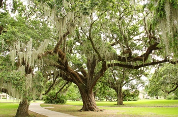 USA Louisiana New Orleans