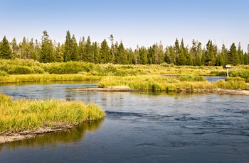 USA Montana Madison River