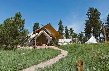 Glamping i Mount Rushmore - Safari King