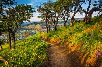 USA Oregon Columbia Gorge 