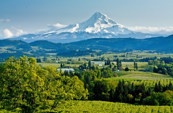 USA Oregon Columbia River Valley Mount Hood