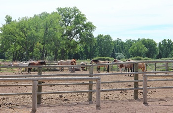 USA Wyoming Ranch at Ucross