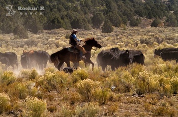 USA Utah Rockin R Ranch