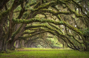 USA South Carolina Charleston