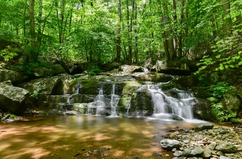 USA Virginia Shenandoah National Park