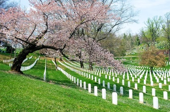 USA Washington DC Arlington National Cemetery