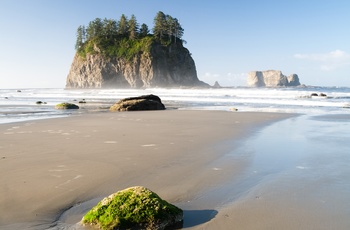 USA Washington Olympic National Pacific Ocean Shore