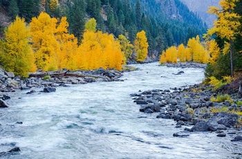 Wenatchee River om efteråret, Washington State