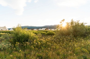 Glamping i Yellowstone - aftensol