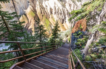 USA Yellowstone National Park Grand Canyon