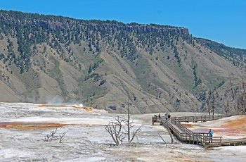 USA Yellowstone National Park Mammoth Hot Springs