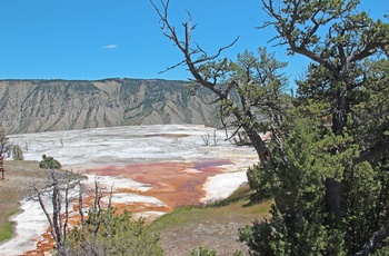 USA Yellowstone National Park Mammoth Hot Springs