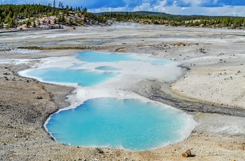 USA Yellowstone National Park Norris Geyser Basin