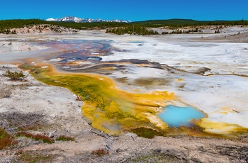 USA Yellowstone National Park Norris Geyser Basin