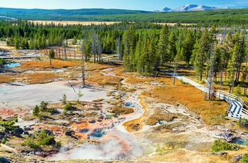 USA Yellowstone National Park Norris Geyser Basin