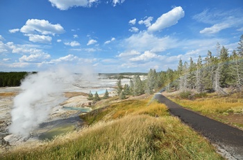 USA Yellowstone National Park Norris Geyser Basin