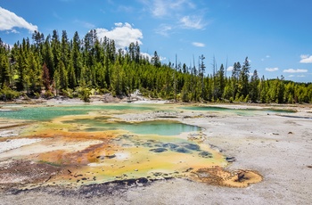 USA Yellowstone National Park Norris Geyser Basin