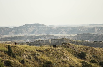 Theodore Roosevelt National Park i North Dakota 