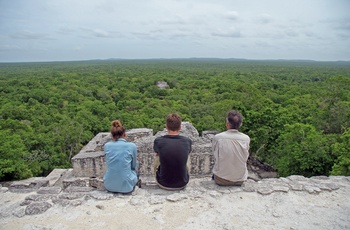 Rejsende nyder udsigt fra pyramidens top i mayaruinernei junglen i Calakmul - Mexico