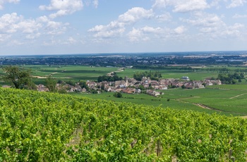 Udsigt over landsbyen Pommard og Beaune i baggrunden Bourgogne