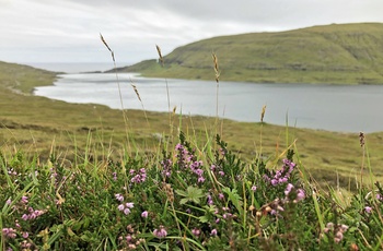 Udsigten over Sørvágsvatn, Vagar, Færøerne