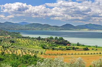 Vinmarker ned mod Trasimeno søen i Umbrien