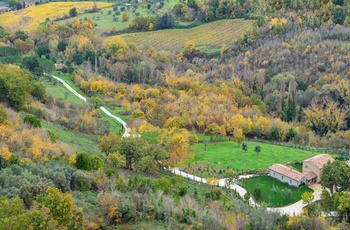 Landskab og vingård i Umbrien, Italien